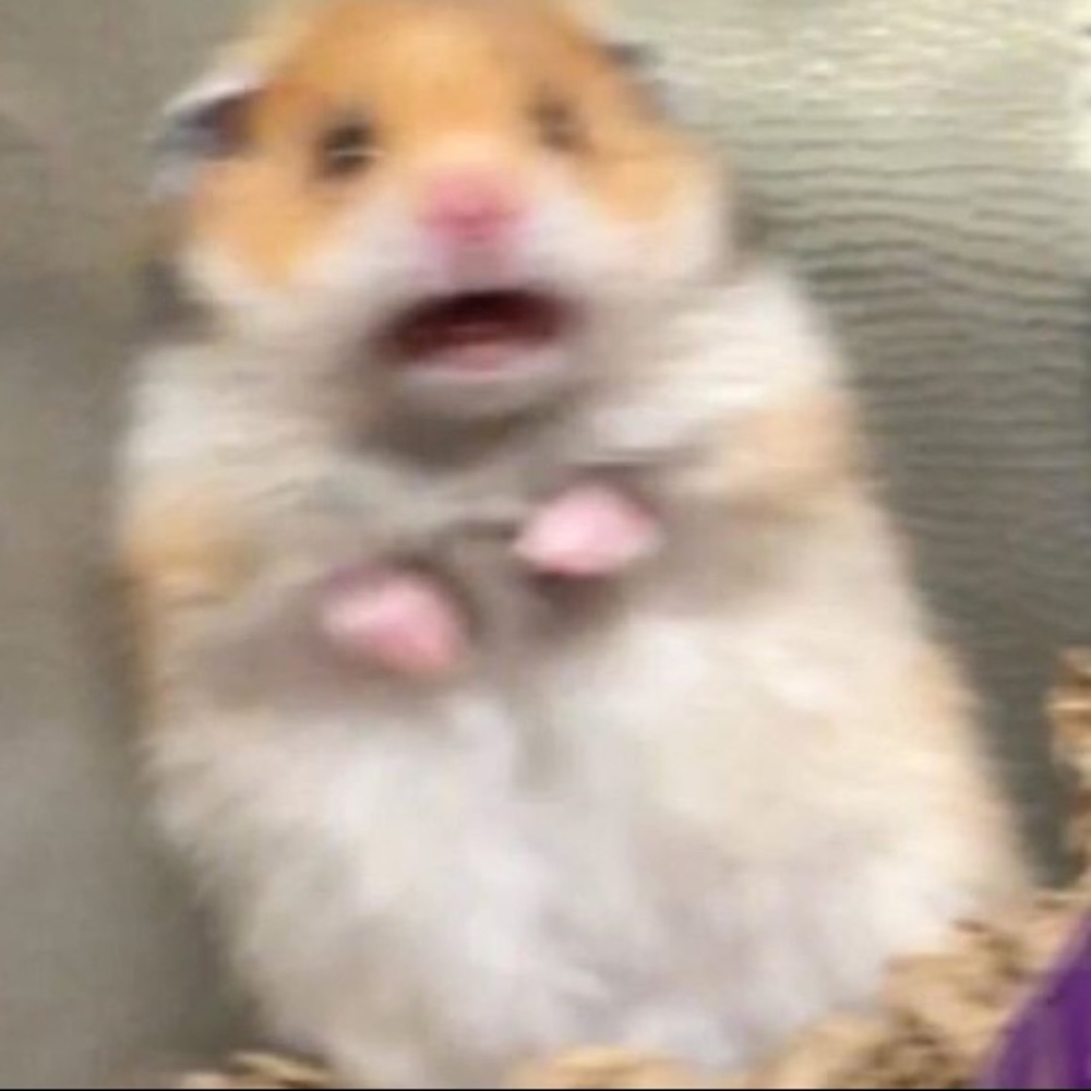 Meet your Posher, Cortney